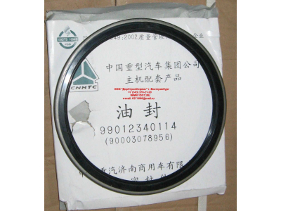 Сальник 190х220х15 задней ступицы наружный H/SH HOWO (ХОВО) WG9112340114 фото 1 Уфа