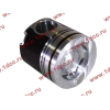 Поршневая группа WD12/WD618 (6 гильз, 6 поршней (..0017), 6 пальцев, комплект колец) SH SHAANXI / Shacman (ШАНКСИ / Шакман) 61800010125 фото 10 Уфа